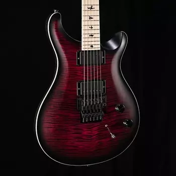 Электрогитара Paul Reed Smith PRS Dustie Waring Signature CE 24 Floyd - Waring Burst