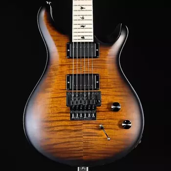 Электрогитара PRS DW CE 24 "Floyd" Electric Guitar - Burnt Amber Smokewrap Burst