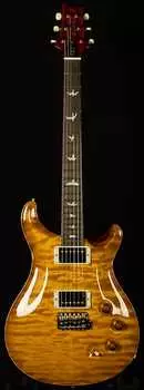 Электрогитара PRS Guitars Wildwood Wood Library DGT - Brazilian Rosewood