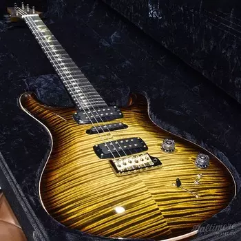 Электрогитара PRS Private Stock Modern Eagle V Electric Guitar - Tiger Eye Glow #10542