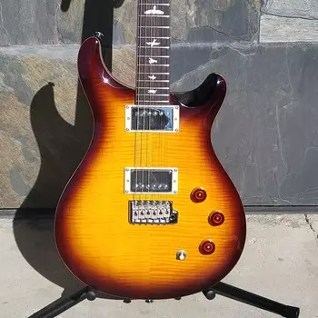 Электрогитара PRS SE DGT [BIRDS]