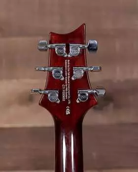 Электрогитара PRS SE DGT Electric Guitar, McCarty Tobacco Sunburst with Birds Inlay