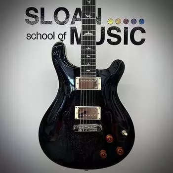 Электрогитара PRS SE Hollowbody Standard Piezo Electric Guitar - Dog Hair