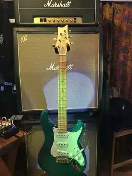 Электрогитара PRS SE Silver Sky 2022 - 2023 - Ever Green