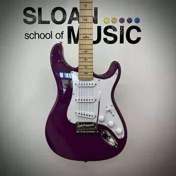 Электрогитара PRS SE Silver Sky - Summit Purple