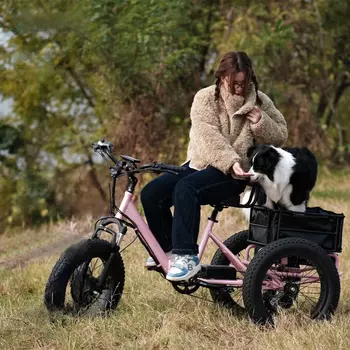 Электровелосипед трехколесный Aimos AMS-TDE-TC, розовый