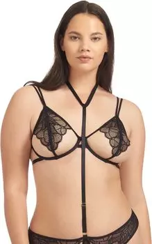 Эмерсон Бюстгальтер BLUEBELLA, черный