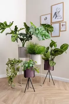 Эссенция цветочный горшок Present Time, зеленый