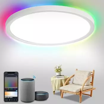 Jiubiaz 24 Вт светодиодный потолочный светильник RGB для кухни, прихожей, ПОДСВЕТКА, потолочный светильник с регулируемой яркостью для подвала, белый