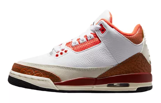 Jordan 3 Retro SE Dunk on Mars (GS)