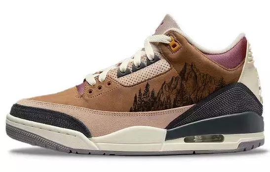 Jordan Air Jordan 3 винтажные баскетбольные кроссовки мужские, Dark Brown