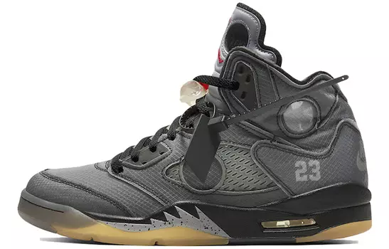 Кроссовки Jordan Air Jordan 5 Vintage Basketball Unisex, серый