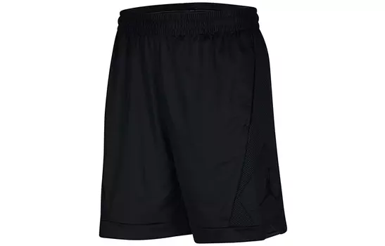 Jordan Мужские баскетбольные шорты, цвет Black