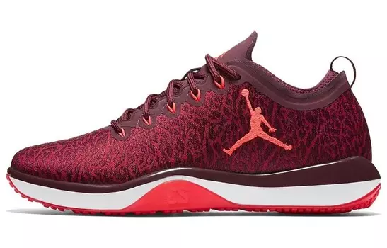 Jordan Trainer 1 Low Night Maroon