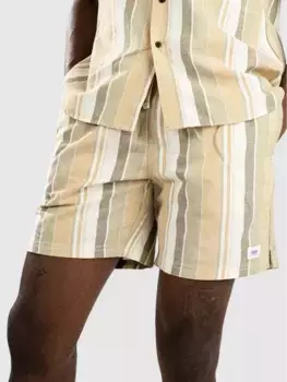 Йоркские местные шорты Katin Usa, зеленый