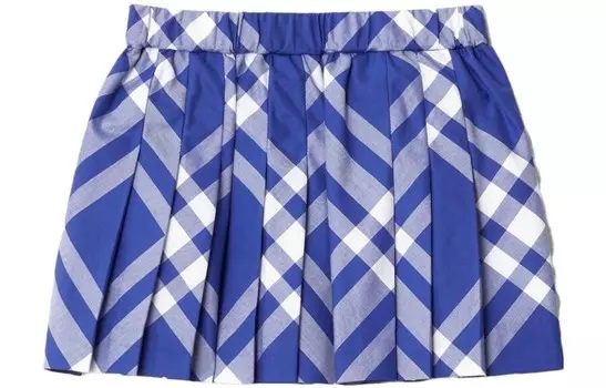 Юбка ТД Burberry, синий