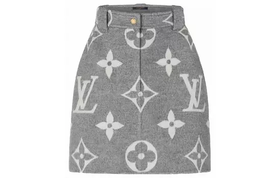 Юбка женская Louis Vuitton Casual, серый