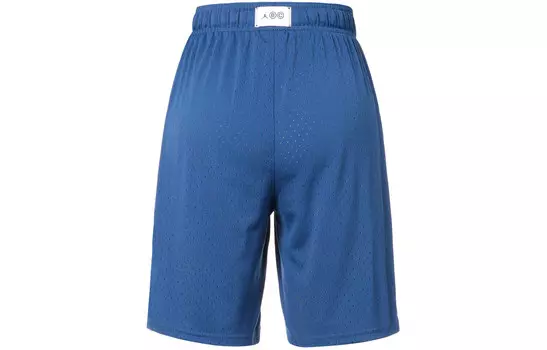 Jumpman повседневные шорты мужские Glacier Blue Jordan, синий