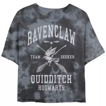 Юниорская футболка Harry Potter Ravenclaw Bold Team Seeker Licensed Character