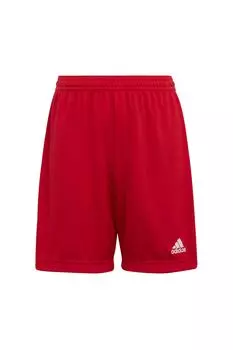 Юниорские шорты Entrada 22 adidas, красный