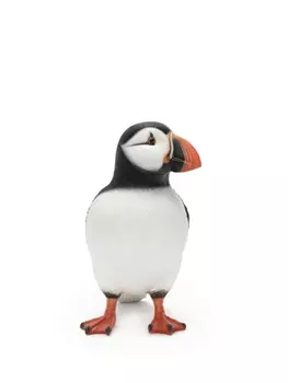 JW Anderson клатч Puffin, черный