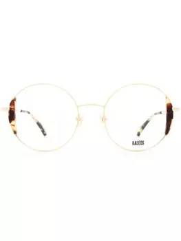 Kaleos KASS Gold & Havana, золотой