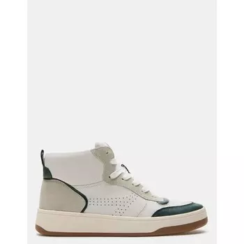 КАЛИПСО ЧЕРНАЯ КОЖА Steve Madden, цвет Green Leather