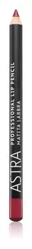 Карандаш для губ Astra Make-up Professional, оттенок 42 Cherry 1,1 г