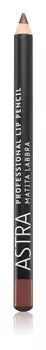 Карандаш для губ Astra Make-up Professional, оттенок 41 Wood 1,1 г