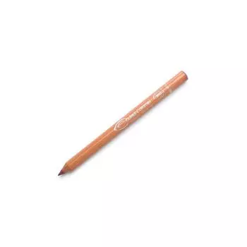 Карандаш для губ Lpiz De Labios Couleur Caramel, цвет n119 pearly rosewood