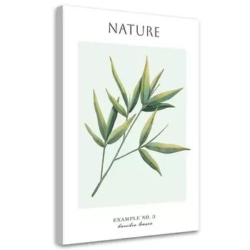 Картина арт-принт KUNSTLOFT Bamboo Leaves, зеленый