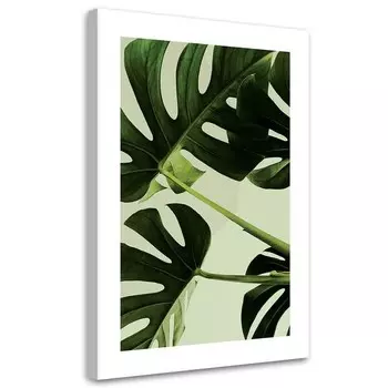 Картина арт-принт KUNSTLOFT Monstera Leaves Close-Up, зеленый