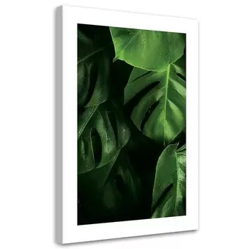 Картина арт-принт KUNSTLOFT Monstera Leaves with Dew 1, зеленый