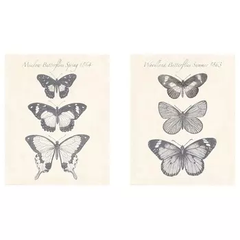 Картина, бабочки, 40х50 см ,бежевый/черный, BILD IKEA