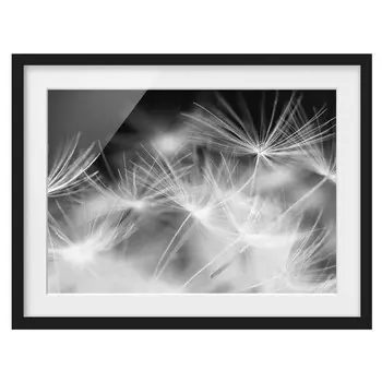 Картина Bilderwelten Pusteblume I