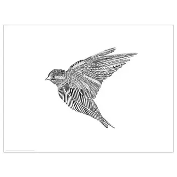 Картина, черная птица, 40х30 см ,черно-белый, BILD IKEA