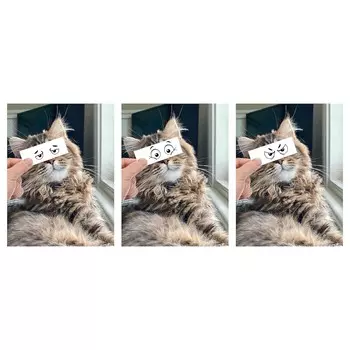 Картина, КлеоКаца, 30х40 см ,бежевый/серый, BILD IKEA