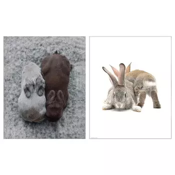 Картина, Миленькие друзья, 40х50 см ,мультиколор, BILD IKEA