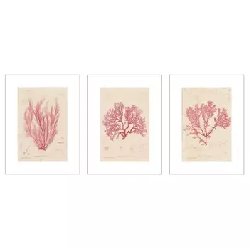 Картина, морские растения, 30х40 см ,розовый, BILD IKEA