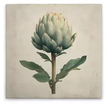 Картина на холсте A.S. Cration Artischocke цвет cremebeigegrn