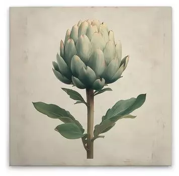 Картина на холсте A.S. Cration Artischocke цвет cremebeigegrn
