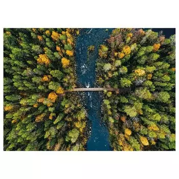 Картина на холсте A.S. Cration Autumn Finland цвет grn/blau