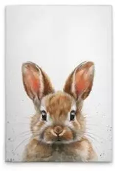 Картина на холсте A.S. Cration Brown Baby Bunny цвет weissbraunbeige