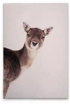 Картина на холсте A.S. Cration Deer Rose цвет beigebrauncremeschwarz