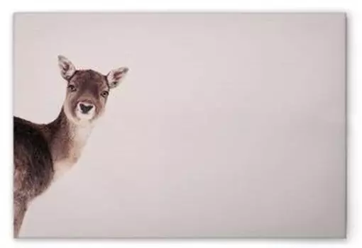 Картина на холсте A.S. Cration Deer Rose цвет beigebrauncremeschwarz