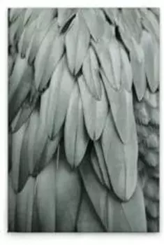 Картина на холсте A.S. Cration Feathers 2 цвет blaugrau
