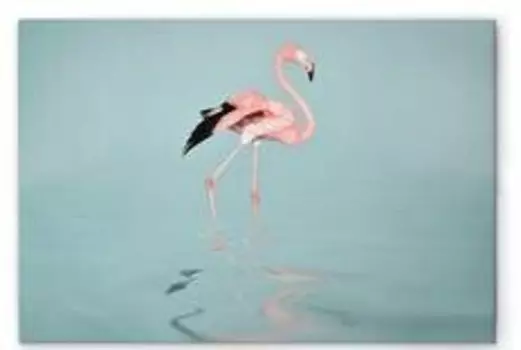 Картина на холсте A.S. Cration Flamingo Water цвет blaurosagrau