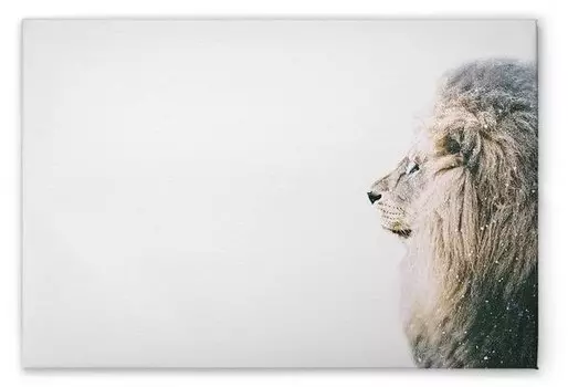 Картина на холсте A.S. Cration Lion In Snow цвет weisscremebeigeschwarz