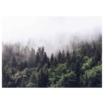 Картина на холсте A.S. Cration Nebliger Foggy Forest, зеленый/белый
