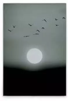 Картина на холсте A.S. Cration Winter Lights цвет schwarzgrauweiss